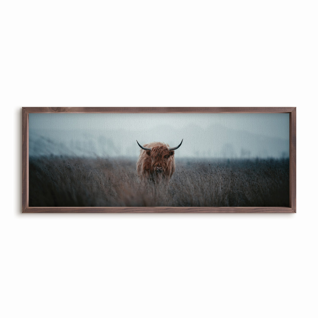 Highland Cow 35X13 Framed Linen