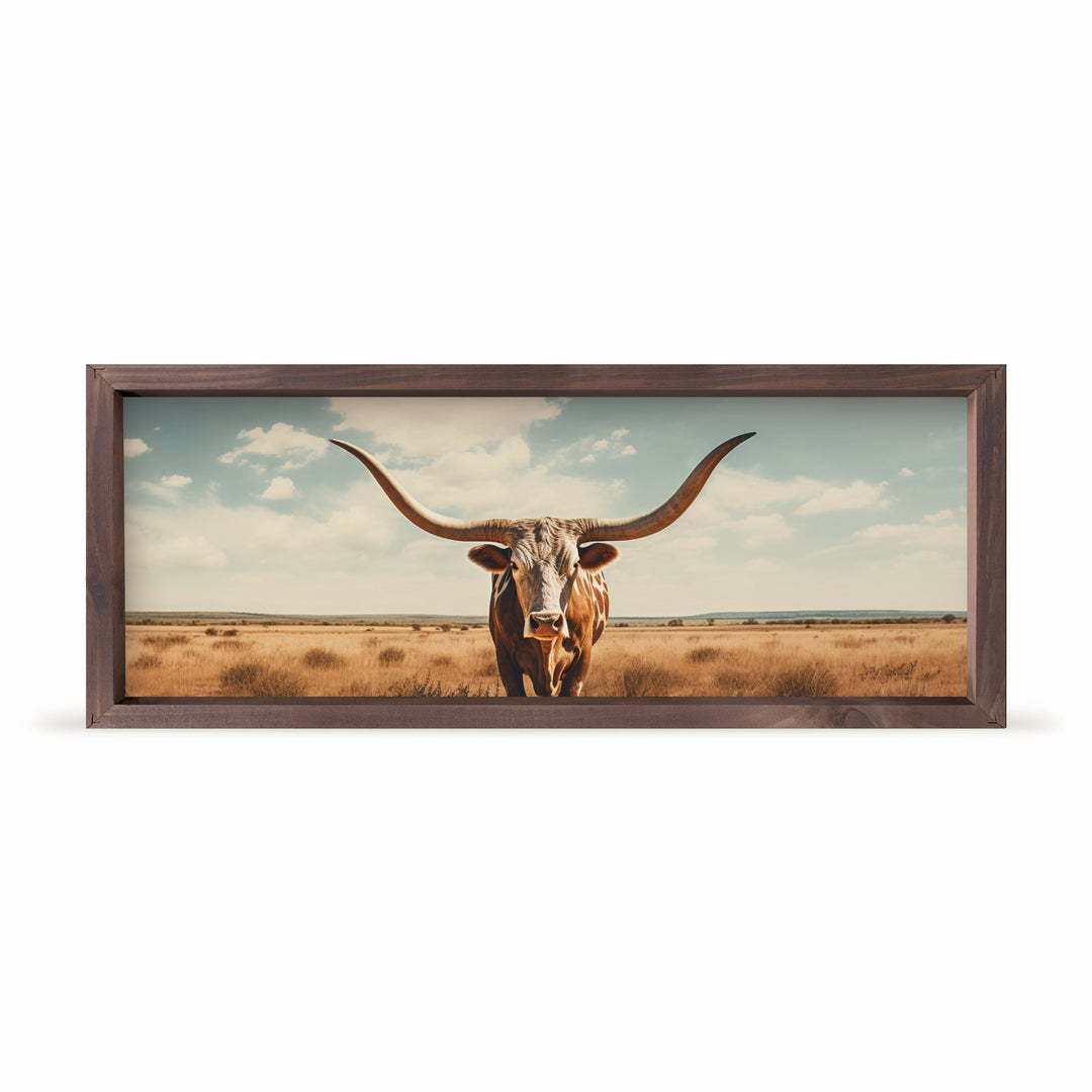 Longhorn 13X5 Framed Linen